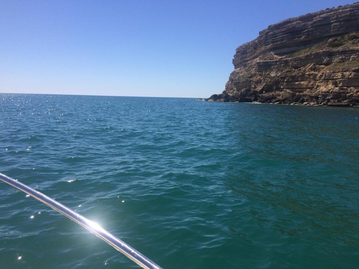 Marina Les Pieds Dans L Eau Daire Le Barcarès Dış mekan fotoğraf